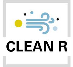clean R