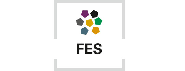 FES